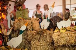 Martinimarkt 2019 (c) Stadtgemeinde Laakirchen 06